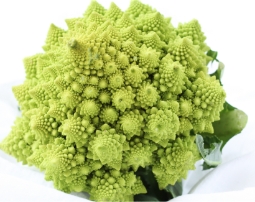 Deluxe Dumpling 豪华肉粽